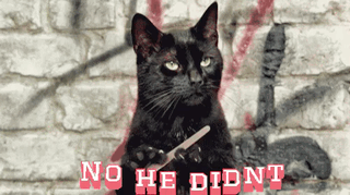 A Black Cat Holding A Pair Of Scissors In Front Of A Brick Wall With The Words No He Didnt GIF