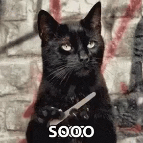 A Black Cat Holding A Pair Of Scissors In Its Paws . GIF