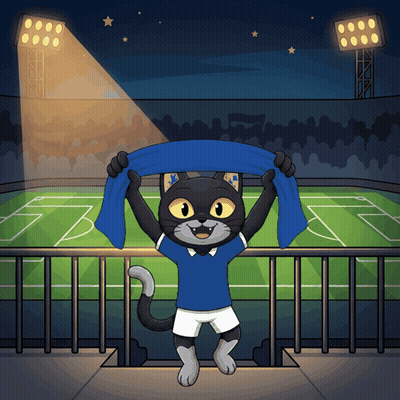 A Black Cat In A Blue Shirt Is Holding A Blue Scarf GIF