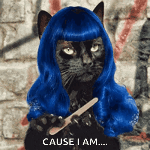 A Black Cat In A Blue Wig Is Holding A Nail File GIF