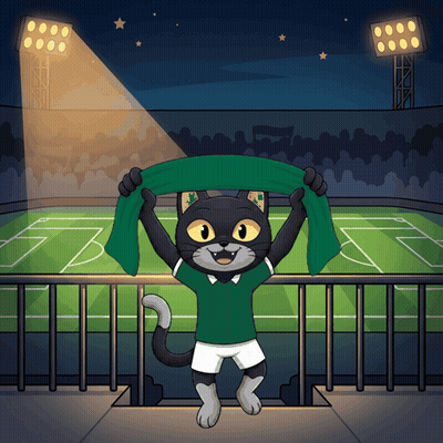 A Black Cat In A Green Shirt Is Holding A Green Scarf In Front Of A Soccer Field GIF