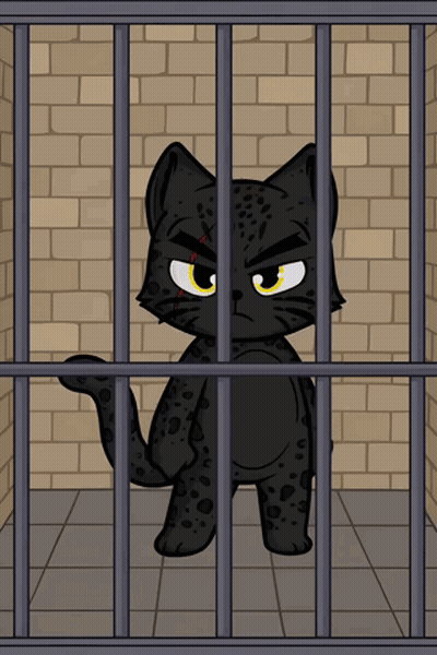 A Black Cat Is Behind Bars In A Prison Cell GIF