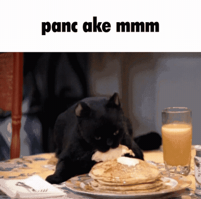 A Black Cat Is Eating A Stack Of Pancakes With The Caption Panc Ake Mmmm GIF