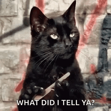 A Black Cat Is Holding A Knife In Its Paw And Asking What Did I Tell Ya ? GIF