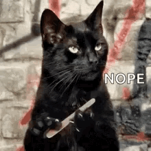 A Black Cat Is Holding A Knife In Its Paw . GIF