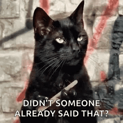 A Black Cat Is Holding A Nail Clipper In Its Paws And Says `` Didn 'T Someone Already Said That ? '' GIF