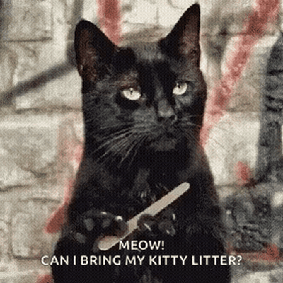 A Black Cat Is Holding A Nail File In Front Of A Brick Wall . GIF