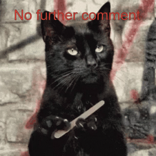 A Black Cat Is Holding A Nail File In Front Of A Brick Wall With The Words No Further Comment Above It GIF