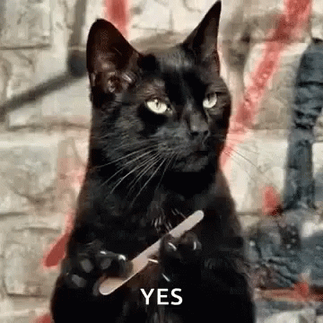 A Black Cat Is Holding A Nail File In Its Paw And Says Yes . GIF