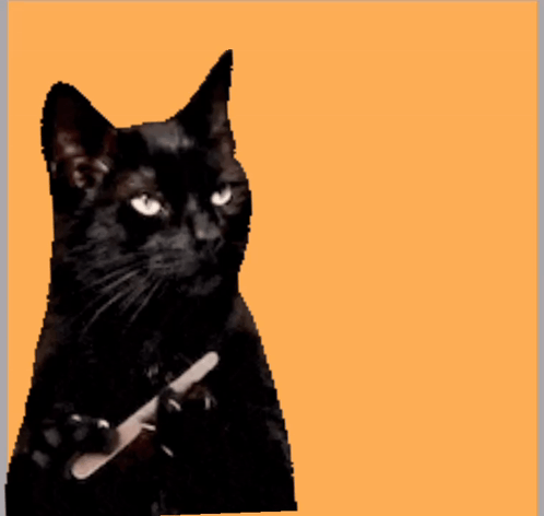 A Black Cat Is Holding A Nail File In Its Paw GIF