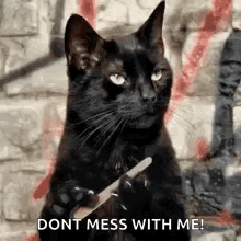 A Black Cat Is Holding A Nail File In Its Paws And Saying `` Dont Mess With Me '' . GIF