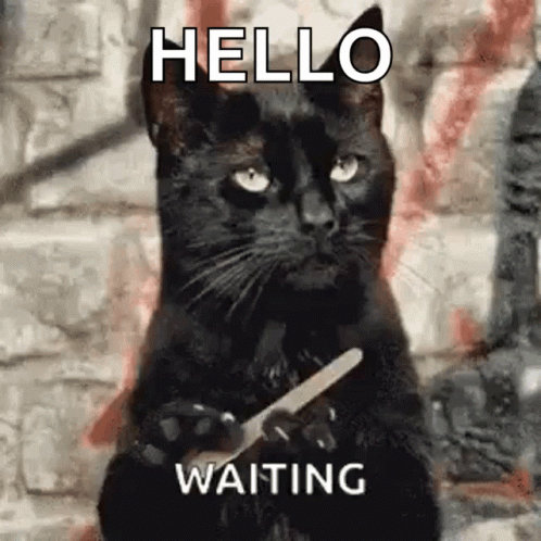 A Black Cat Is Holding A Nail File In Its Paws And Saying Hello While Waiting . GIF