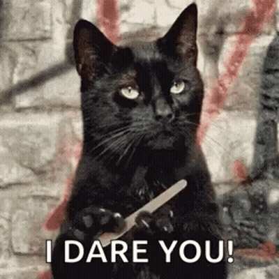 A Black Cat Is Holding A Nail File In Its Paws And Saying `` I Dare You ! '' GIF