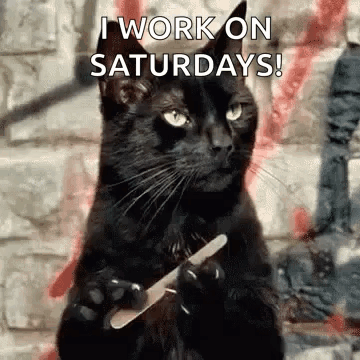 A Black Cat Is Holding A Nail File In Its Paws And Says `` I Work On Saturdays '' . GIF