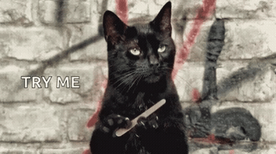 A Black Cat Is Holding A Nail File In Its Paws While Sitting In Front Of A Brick Wall . GIF