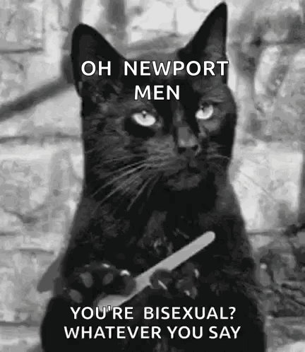 A Black Cat Is Holding A Pair Of Scissors And Saying Oh Newport Men You 'Re Bisexual Whatever You Say GIF