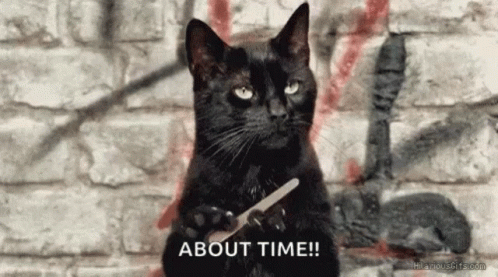 A Black Cat Is Holding A Pair Of Scissors And Says About Time . GIF