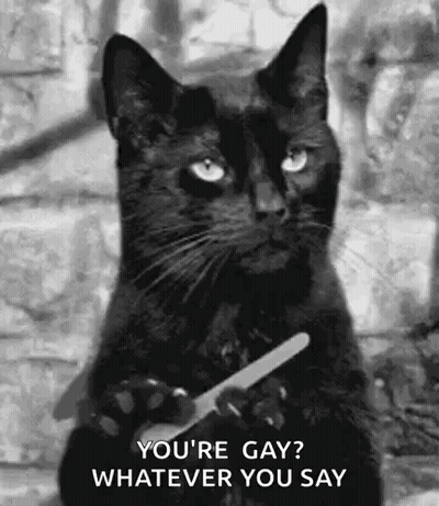 A Black Cat Is Holding A Pair Of Scissors In Its Paws And Asking If It Is Gay . GIF