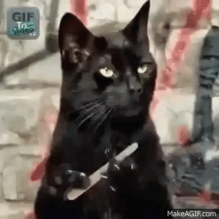 A Black Cat Is Holding A Pair Of Scissors In Its Paws . GIF