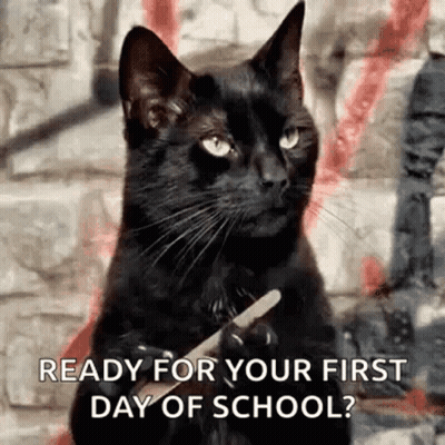 A Black Cat Is Holding An Ice Cream Cone In Its Paws And Says Ready For Your First Day Of School ? GIF