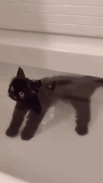 A Black Cat Is Laying In A Bathtub And Looking At The Camera . GIF