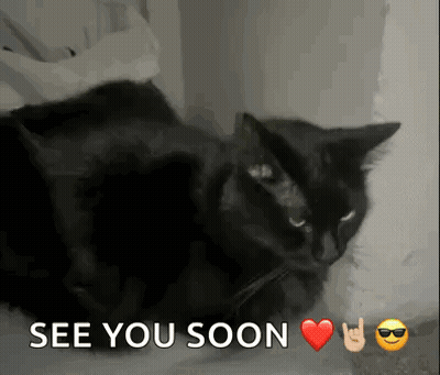A Black Cat Is Laying Next To A Sign That Says See You Soon . GIF