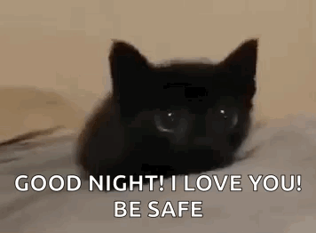 A Black Cat Is Laying On A Bed With The Words `` Good Night , I Love You , Be Safe '' . GIF