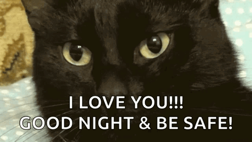 A Black Cat Is Laying On A Bed With The Words I Love You Good Night & Be Safe GIF