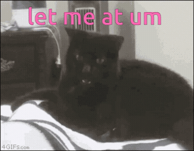 A Black Cat Is Laying On A Bed With The Words Let Me At Um GIF