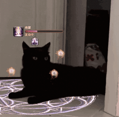 A Black Cat Is Laying On A Circle With Chinese Characters On The Bottom GIF