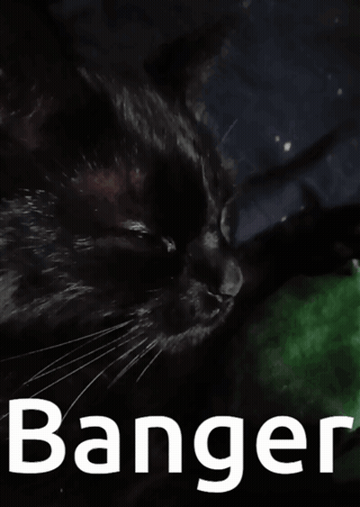 A Black Cat Is Laying On A Green Blanket With The Word Banger Above It GIF