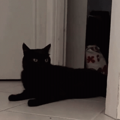 a black cat is laying on a tiled floor in front of a white door