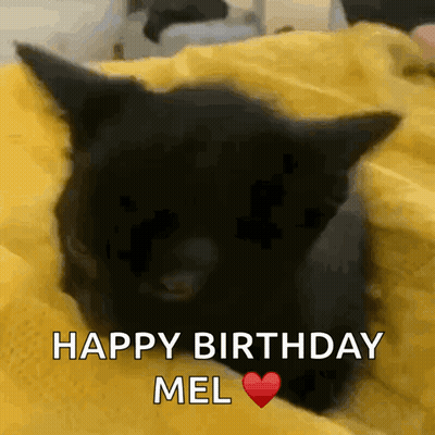 A Black Cat Is Laying On A Yellow Blanket With The Words Happy Birthday Mel Written Below It GIF