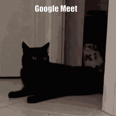 A Black Cat Is Laying On The Floor In Front Of A Door With The Words Google Meet Written Above It GIF