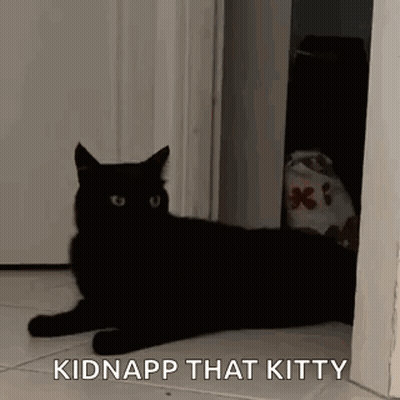 A Black Cat Is Laying On The Floor Next To A Door And A Bag . GIF