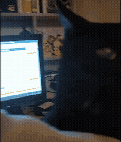 A Black Cat Is Looking At A Computer Screen With A Blue Screen GIF