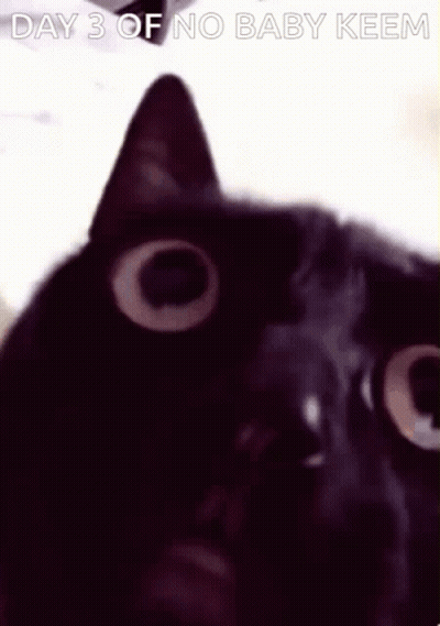 A Black Cat Is Looking At The Camera With The Words `` Day 3 Of No Baby Keem '' Above It . GIF