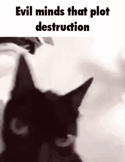 A Black Cat Is Looking At The Camera With The Words `` Evil Minds That Plot Destruction '' Above It . GIF