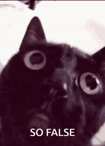 A Black Cat Is Looking At The Camera With The Words So False Behind It GIF