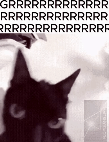 A Black Cat Is On A Poster That Says Grrr Rr Rr Rr Rr Rr Rr GIF