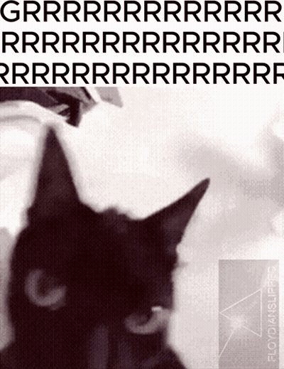 A Black Cat Is On The Cover Of A Book Called Floyd4n GIF