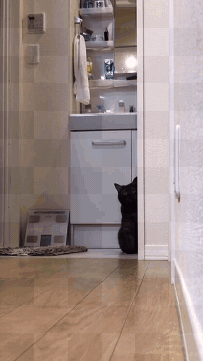 A Black Cat Is Peeking Out From Behind A Cabinet In A Bathroom GIF