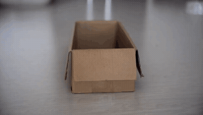 A Black Cat Is Playing In A Cardboard Box . GIF