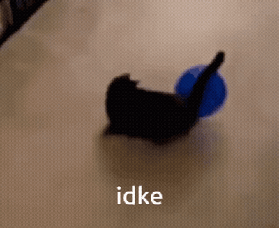 A Black Cat Is Playing With A Blue Ball And The Word Idke Is Visible GIF