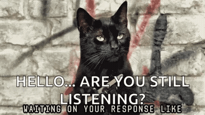 A Black Cat Is Sitting In Front Of A Brick Wall And Says Hello Are You Still Listening ? Waiting On Your Response Like GIF