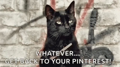 A Black Cat Is Sitting In Front Of A Brick Wall . GIF