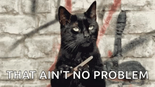 A Black Cat Is Sitting In Front Of A Brick Wall Holding A Nail File . GIF