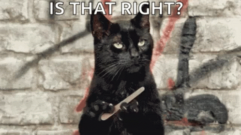 A Black Cat Is Sitting In Front Of A Brick Wall Holding A Nail File In Its Paws . GIF