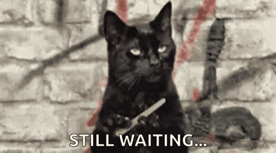 A Black Cat Is Sitting In Front Of A Brick Wall Holding A Nail File . GIF