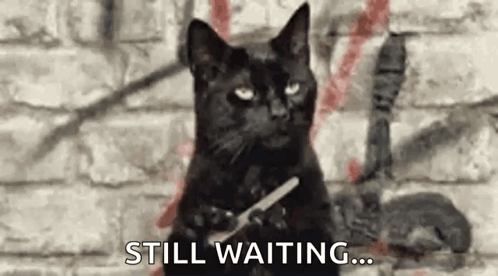 A Black Cat Is Sitting In Front Of A Brick Wall Holding A Pair Of Scissors In Its Paws . GIF